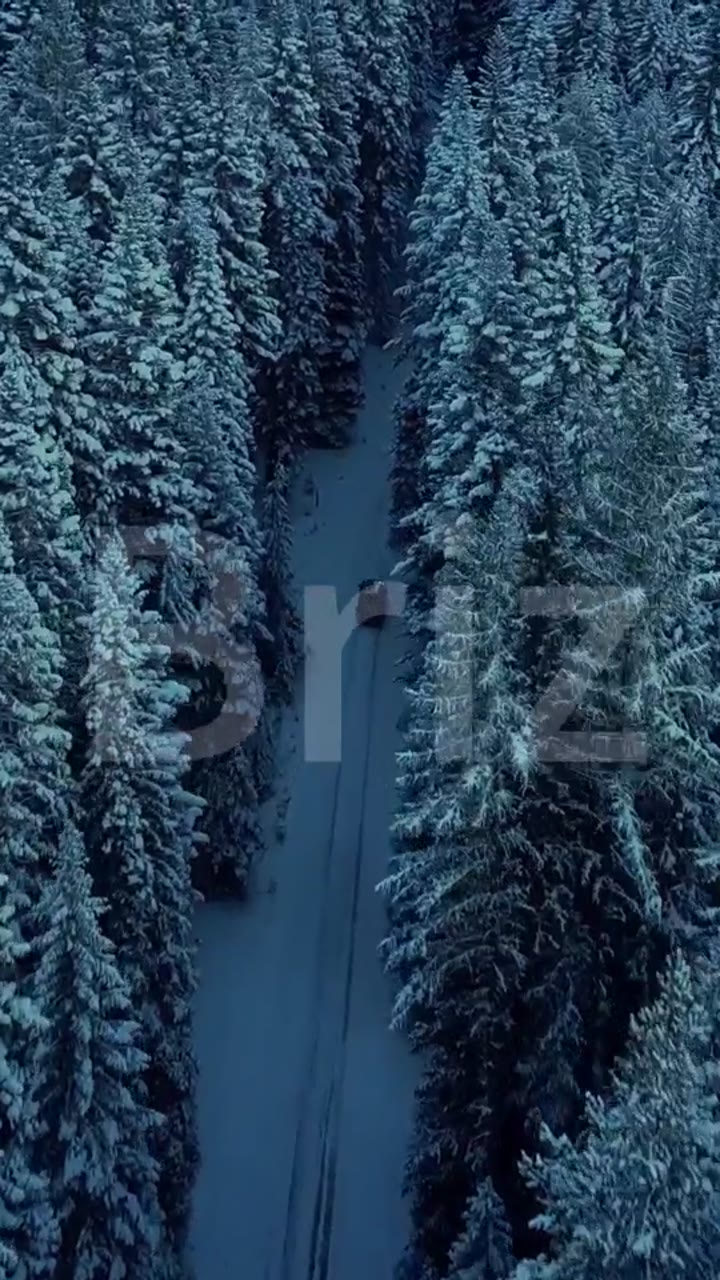 The Winter Veil